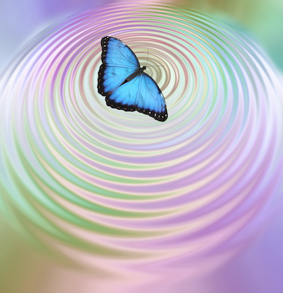 The Butterfly Effect