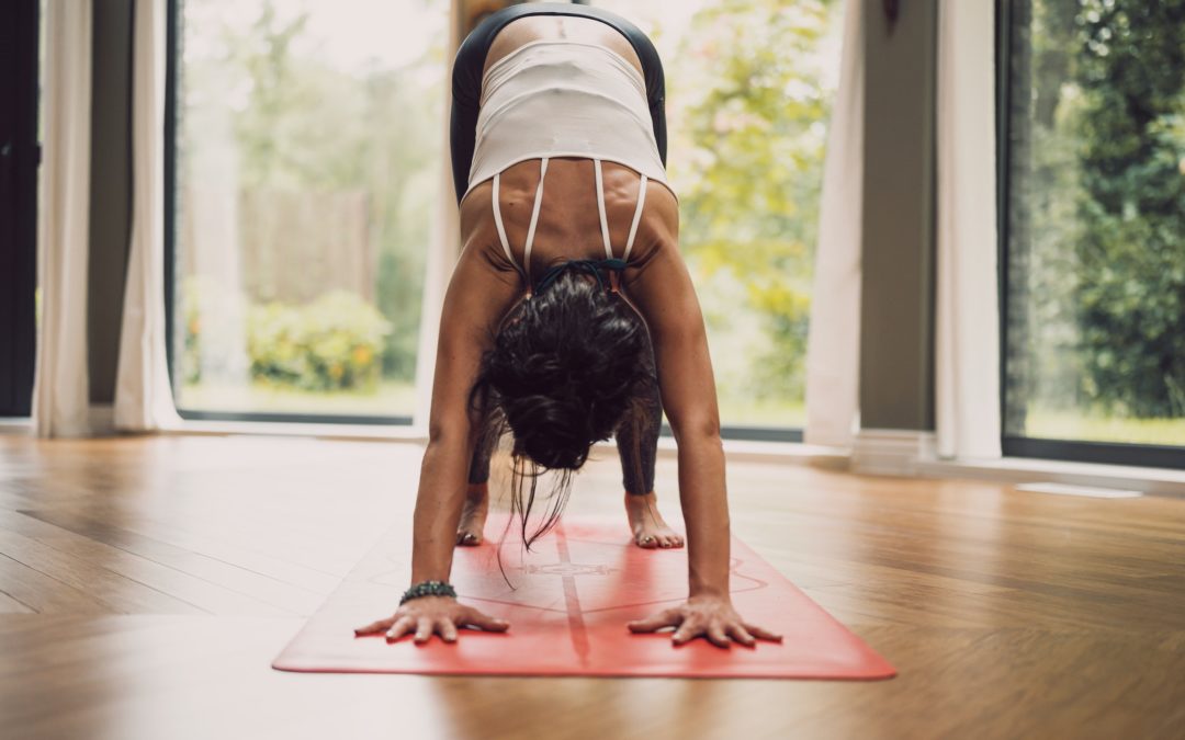 The Virtues of Holistic Medicine: Impacts for Health Plans and Health Systems
